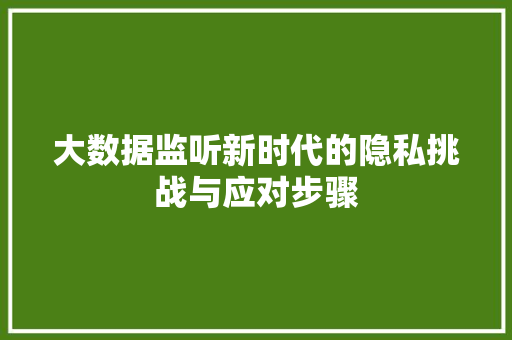 大数据监听新时代的隐私挑战与应对步骤