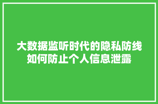 大数据监听时代的隐私防线如何防止个人信息泄露