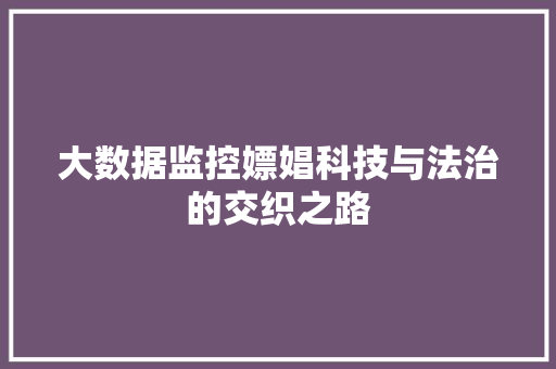 大数据监控嫖娼科技与法治的交织之路