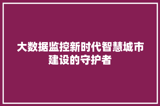 大数据监控新时代智慧城市建设的守护者