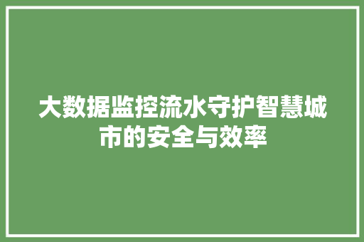 大数据监控流水守护智慧城市的安全与效率