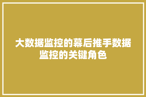 大数据监控的幕后推手数据监控的关键角色