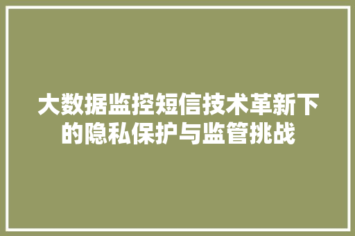 大数据监控短信技术革新下的隐私保护与监管挑战