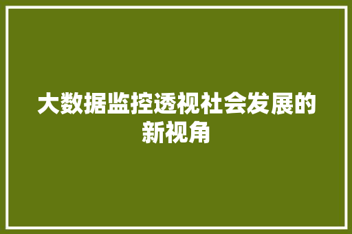 大数据监控透视社会发展的新视角