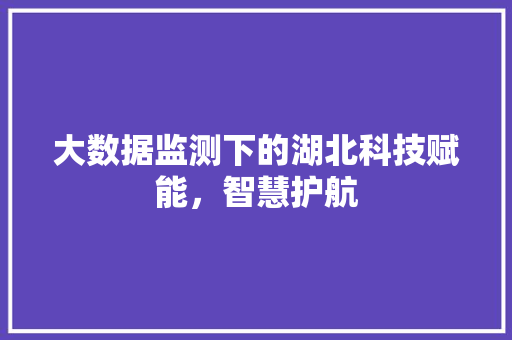 大数据监测下的湖北科技赋能，智慧护航