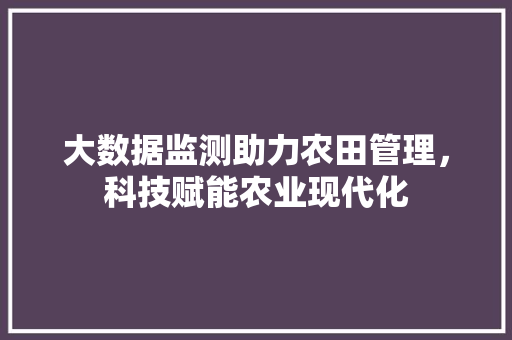 大数据监测助力农田管理，科技赋能农业现代化
