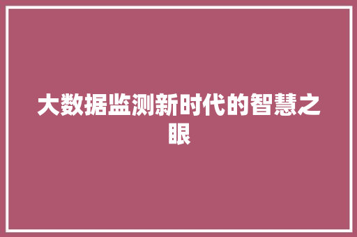大数据监测新时代的智慧之眼
