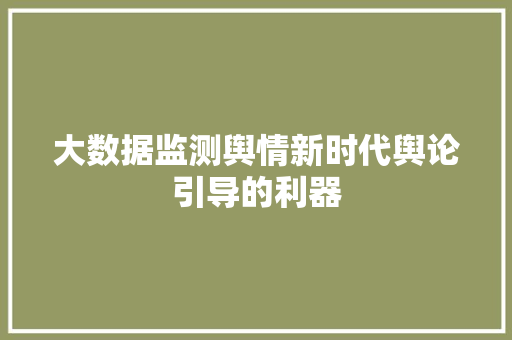 大数据监测舆情新时代舆论引导的利器