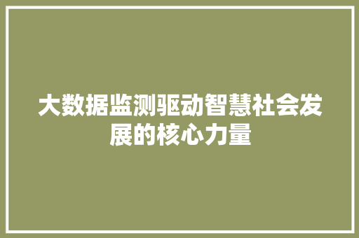大数据监测驱动智慧社会发展的核心力量