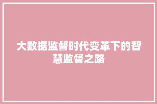 大数据监督时代变革下的智慧监督之路