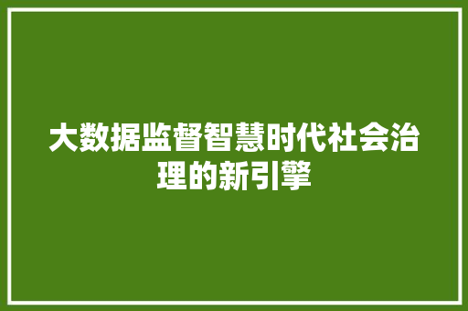 大数据监督智慧时代社会治理的新引擎