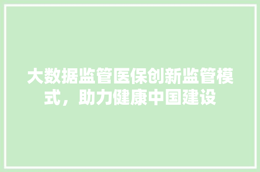 大数据监管医保创新监管模式，助力健康中国建设