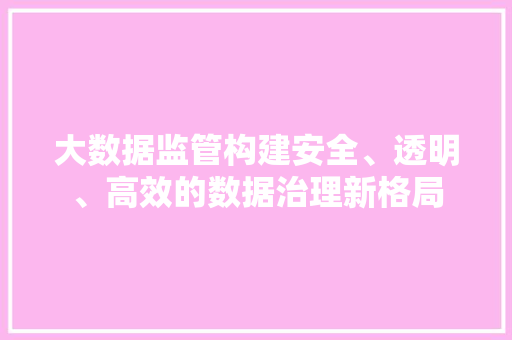 大数据监管构建安全、透明、高效的数据治理新格局