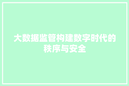 大数据监管构建数字时代的秩序与安全