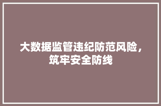 大数据监管违纪防范风险，筑牢安全防线