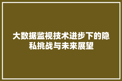 大数据监视技术进步下的隐私挑战与未来展望
