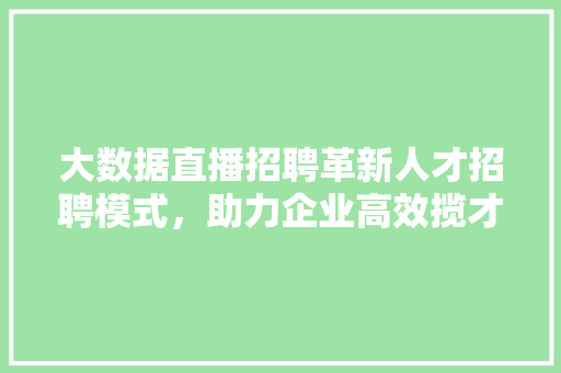 大数据直播招聘革新人才招聘模式，助力企业高效揽才