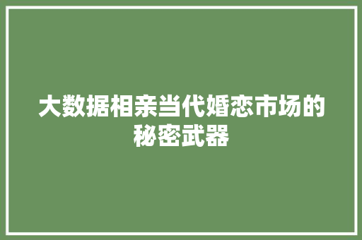 大数据相亲当代婚恋市场的秘密武器 WordPress教程