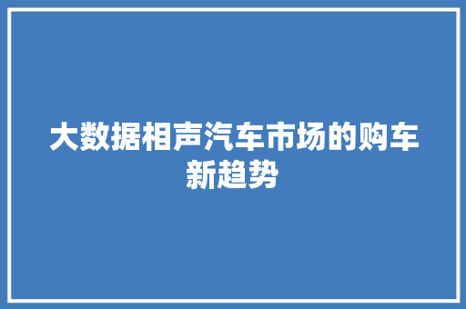 大数据相声汽车市场的购车新趋势