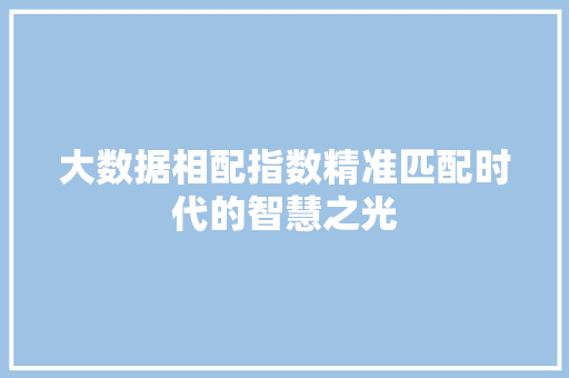 大数据相配指数精准匹配时代的智慧之光