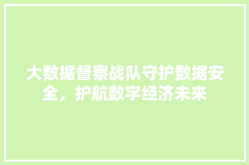 大数据督察战队守护数据安全，护航数字经济未来