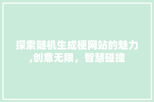 探索随机生成梗网站的魅力,创意无限，智慧碰撞