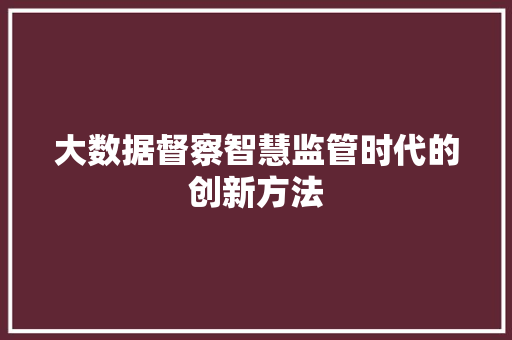 大数据督察智慧监管时代的创新方法