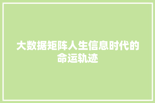 大数据矩阵人生信息时代的命运轨迹