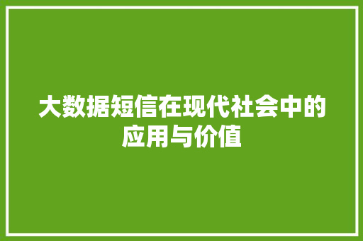 大数据短信在现代社会中的应用与价值
