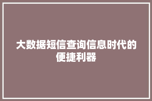 大数据短信查询信息时代的便捷利器