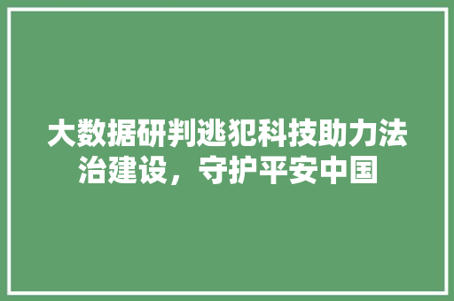 大数据研判逃犯科技助力法治建设，守护平安中国
