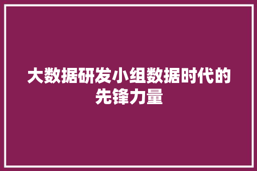 大数据研发小组数据时代的先锋力量