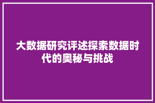 大数据研究评述探索数据时代的奥秘与挑战