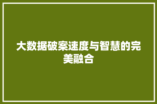 大数据破案速度与智慧的完美融合