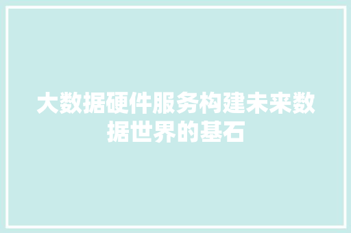 大数据硬件服务构建未来数据世界的基石
