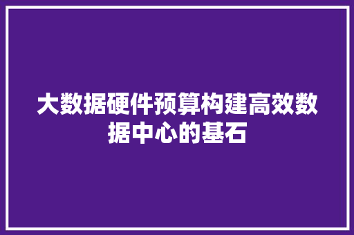 大数据硬件预算构建高效数据中心的基石