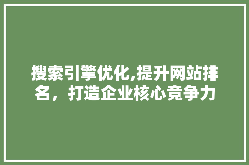 搜索引擎优化,提升网站排名，打造企业核心竞争力 搜索引擎优化,提升网站排名，打造企业核心竞争力 SEO教程