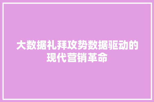 大数据礼拜攻势数据驱动的现代营销革命