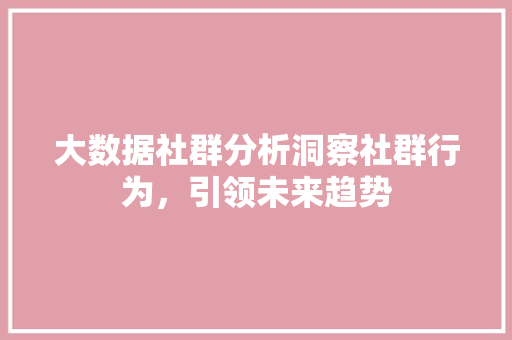 大数据社群分析洞察社群行为，引领未来趋势