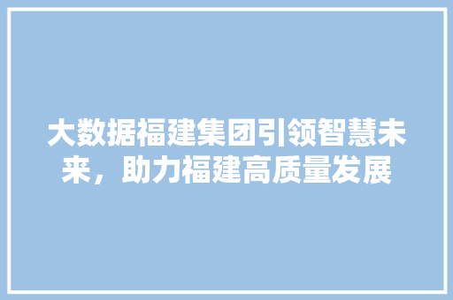 大数据福建集团引领智慧未来，助力福建高质量发展