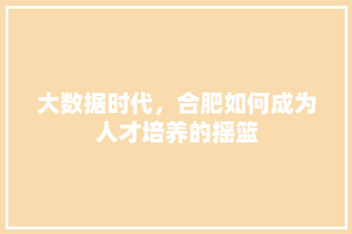 大数据时代，合肥如何成为人才培养的摇篮