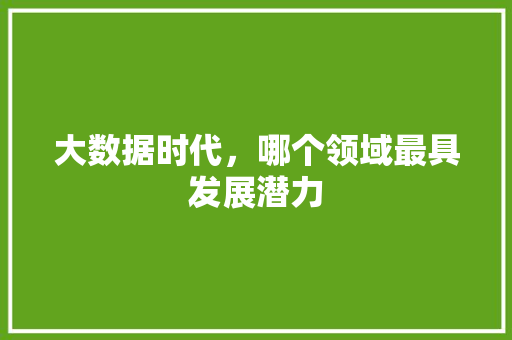 大数据时代，哪个领域最具发展潜力