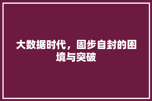 大数据时代，固步自封的困境与突破 SEO教程