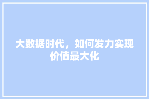 大数据时代，如何发力实现价值最大化