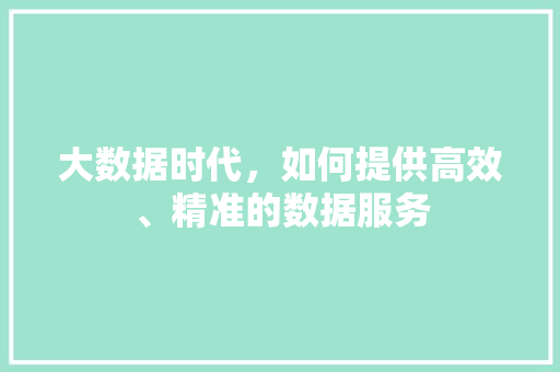 大数据时代，如何提供高效、精准的数据服务