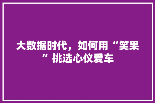 大数据时代，如何用“笑果”挑选心仪爱车