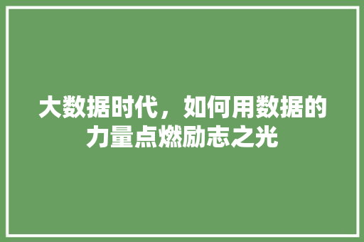 大数据时代，如何用数据的力量点燃励志之光