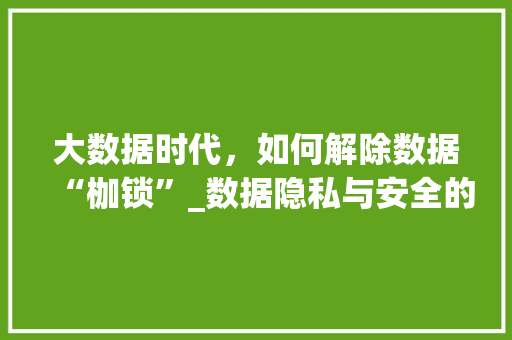 大数据时代，如何解除数据“枷锁”_数据隐私与安全的新路径