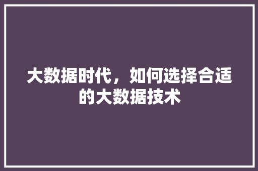 大数据时代，如何选择合适的大数据技术