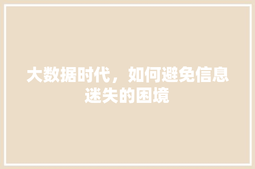 大数据时代，如何避免信息迷失的困境